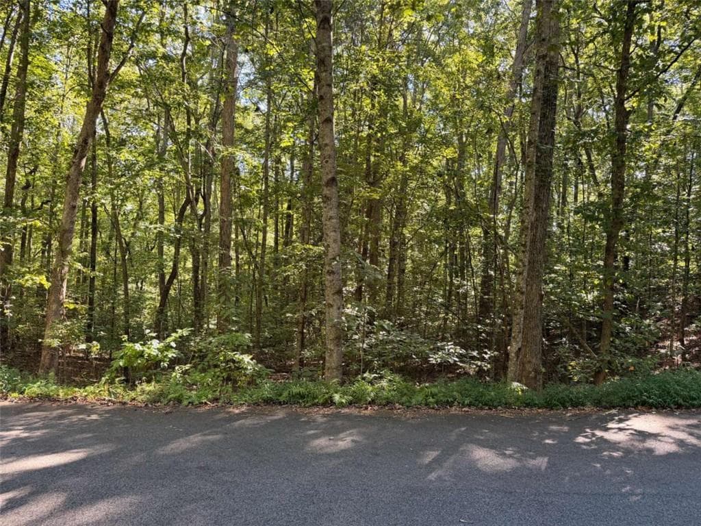 single family residence for sale at N/A Timbergate Trail, Blairsville, GA 30512 — photo 2