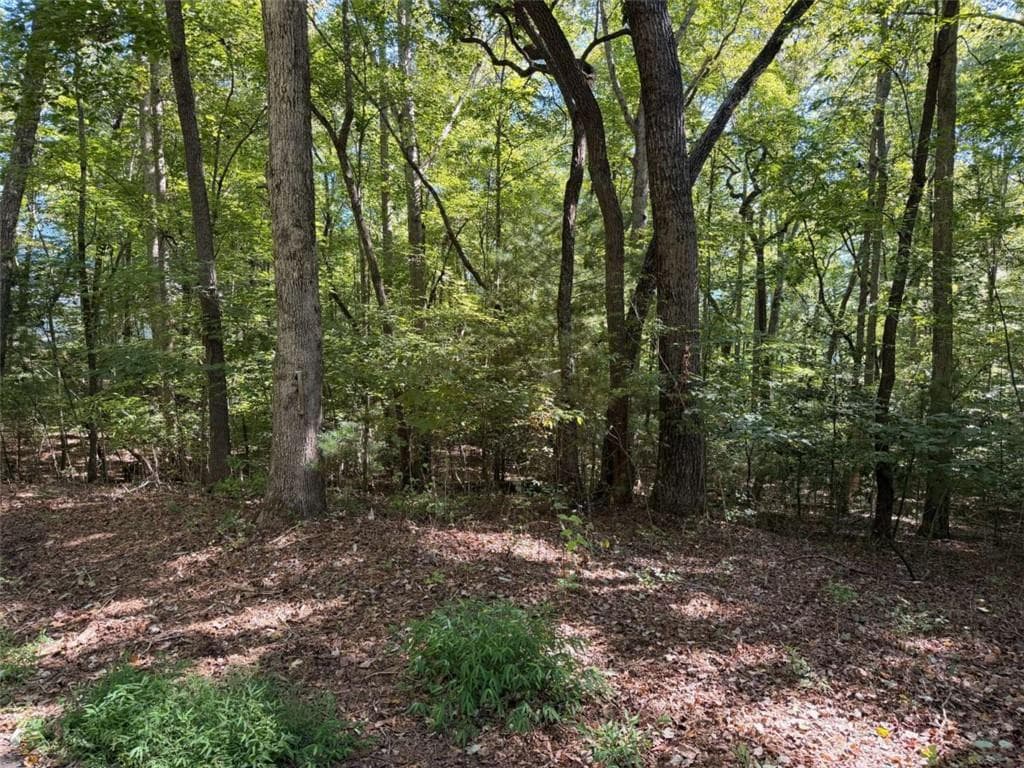 single family residence for sale at N/A Timbergate Trail, Blairsville, GA 30512 — photo 4