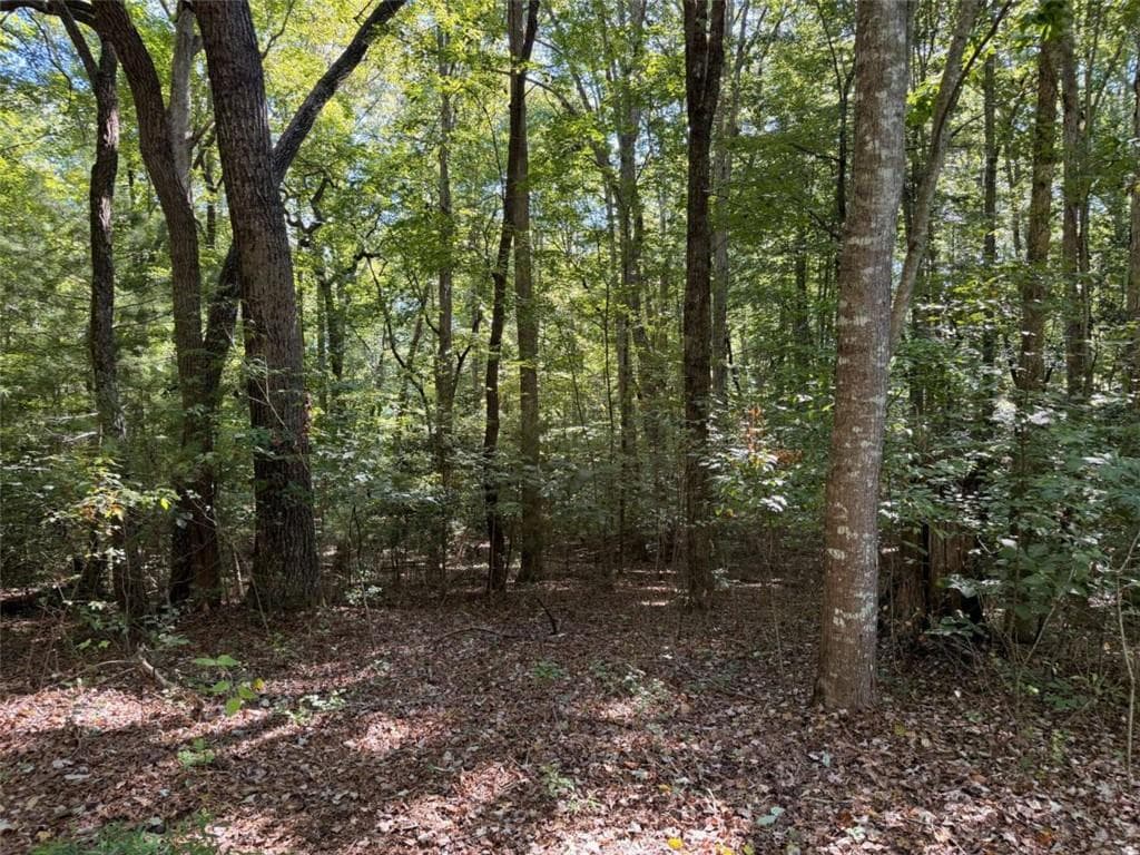 single family residence for sale at N/A Timbergate Trail, Blairsville, GA 30512 — photo 5