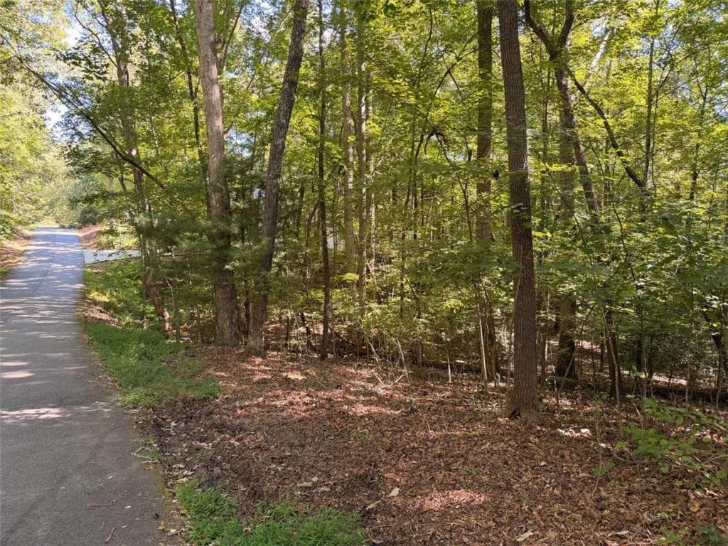 single family residence for sale at N/A Timbergate Trail, Blairsville, GA 30512 — photo 6
