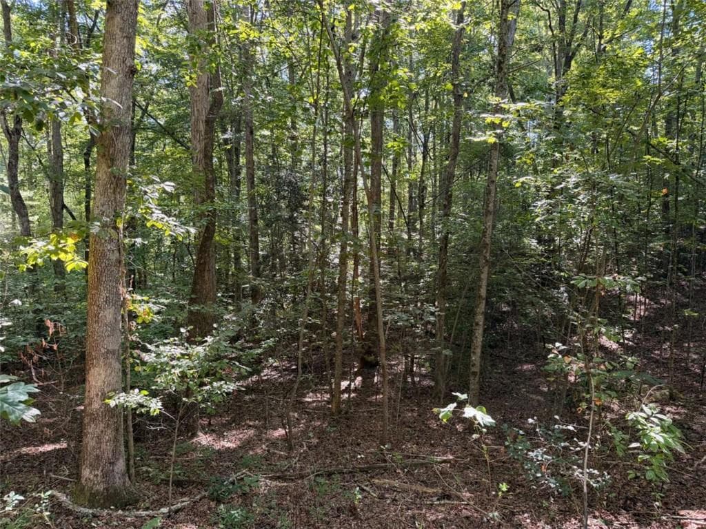 single family residence for sale at N/A Timbergate Trail, Blairsville, GA 30512 — photo 7