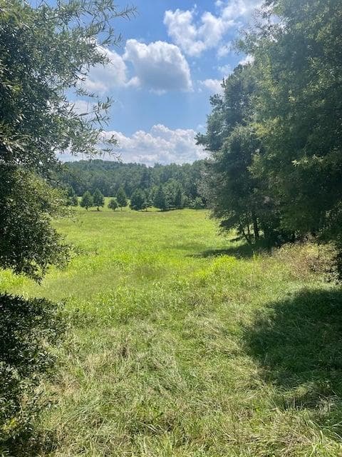 single family residence for sale at LOT 8 Captains, Clarkesville, GA 30523