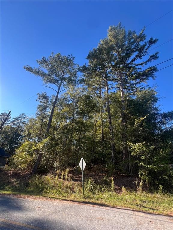 unimproved land for sale at 0 Bryant Cir, Cedartown, GA 30125 — photo 2