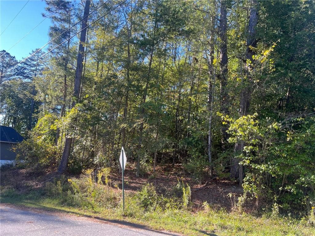 unimproved land for sale at 0 Bryant Cir, Cedartown, GA 30125 — photo 3