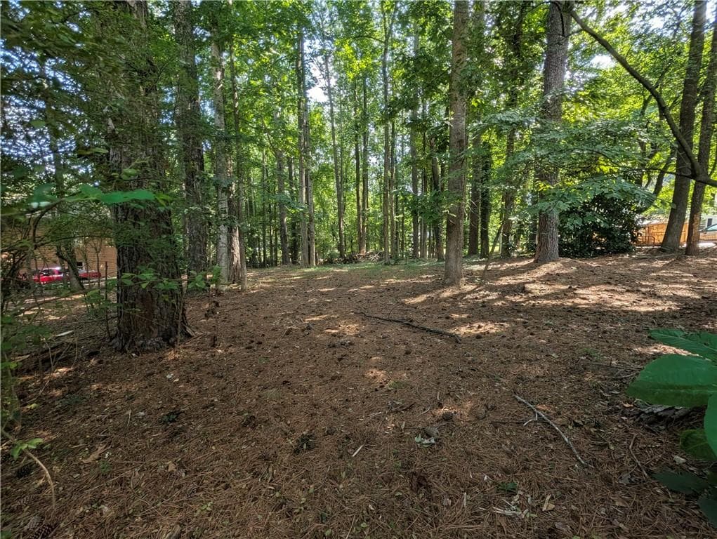 unimproved land for sale at 0 Walker Drive, Lawrenceville, GA 30043 — photo 2