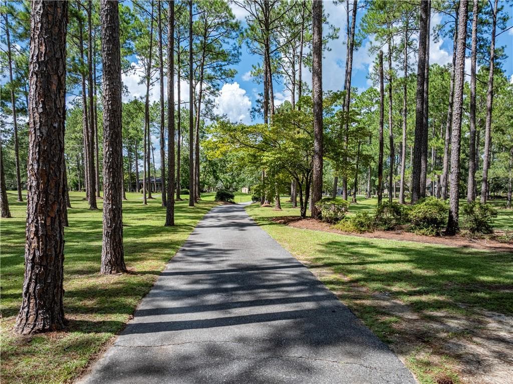 4 bedroom, 3 bathroom, 3,589 sq ft single family residence for sale at 364 Chula Brookfield Road, Chula, GA 31733 — photo 4
