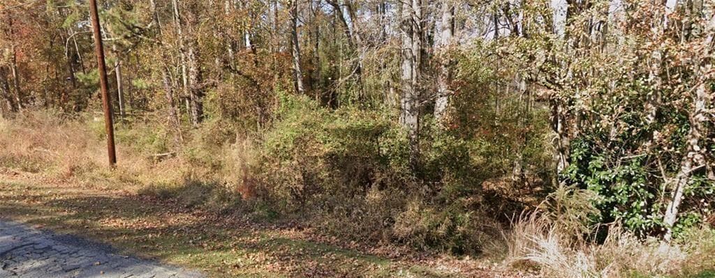 unimproved land for sale at 2842 Drowning Creek Road, Dacula, GA 30019 — photo 2