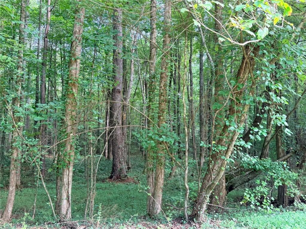 single family residence for sale at Lot 9 Henderson Mountain Road, Jasper, GA 30143 — photo 6