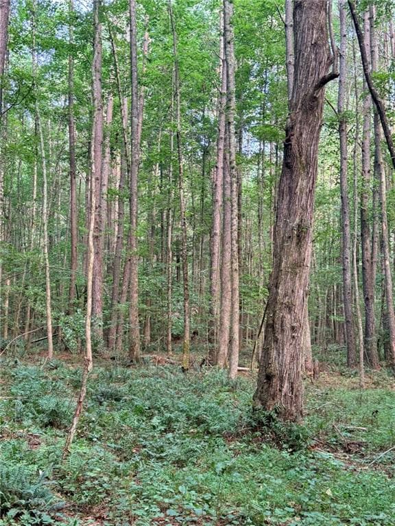 single family residence for sale at Lot 9 Henderson Mountain Road, Jasper, GA 30143 — photo 8