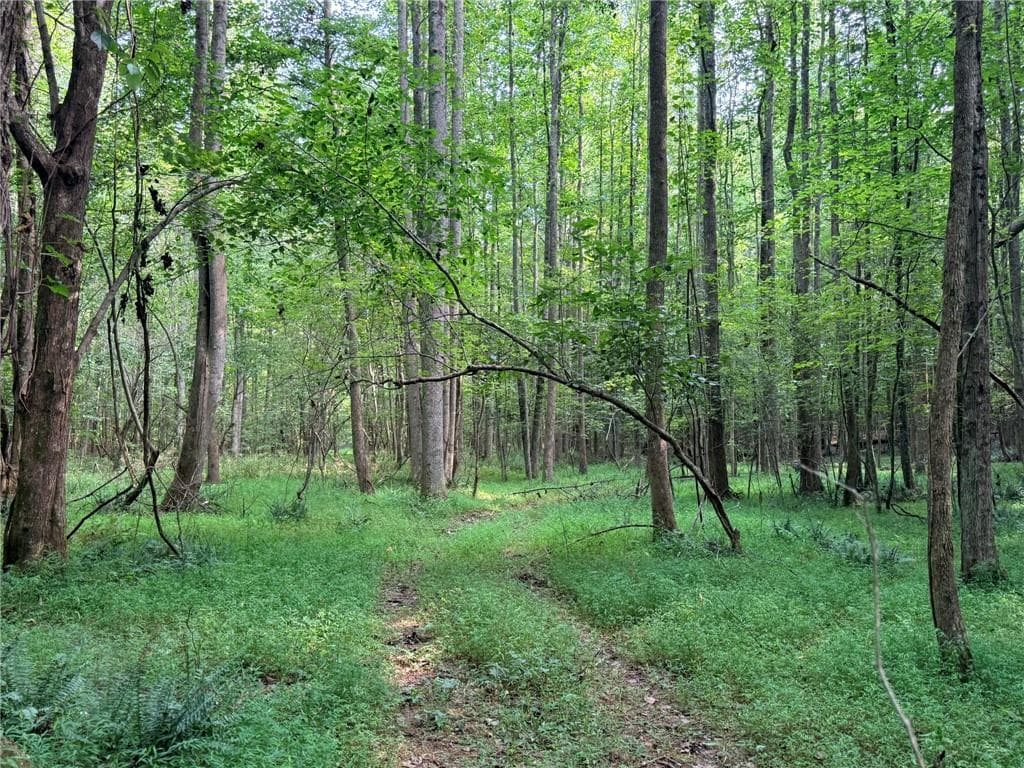 single family residence for sale at Lot 8 Pettit Road, Jasper, GA 30143 — photo 7