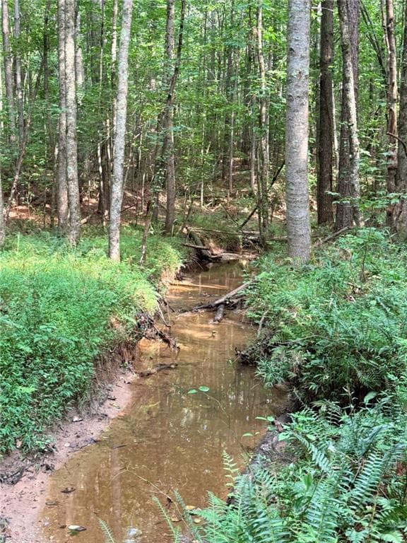 single family residence for sale at Lot 6 Pettit Road, Jasper, GA 30143 — photo 7
