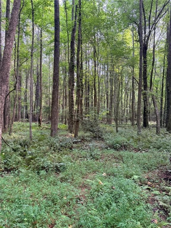 single family residence for sale at Lot 4 Pettit Road, Jasper, GA 30143 — photo 5