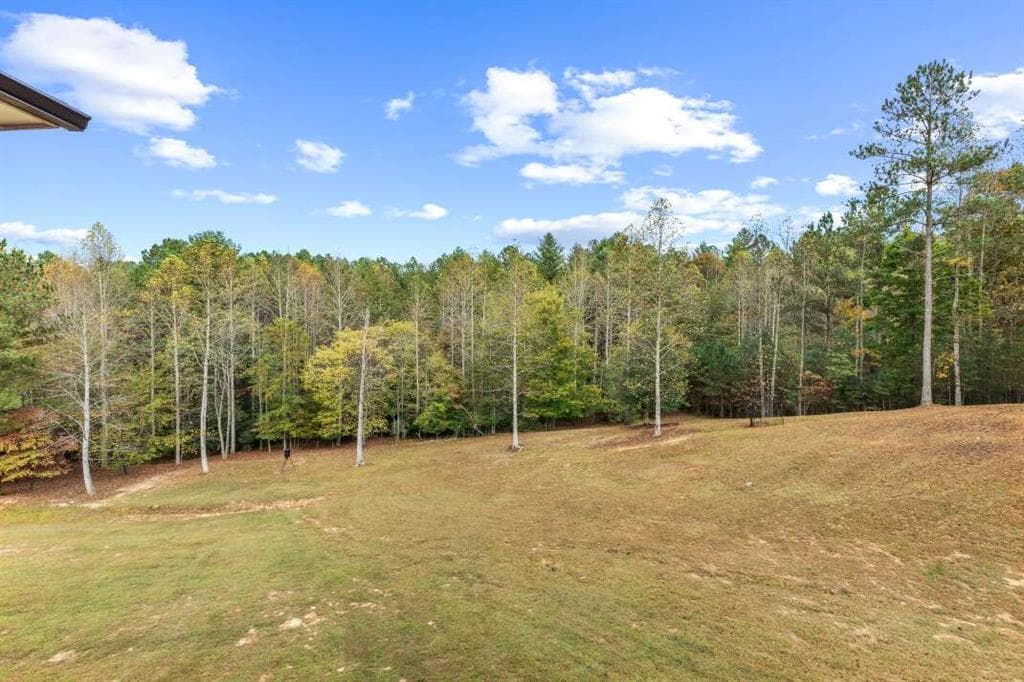 5 bedroom, 5 bathroom, 5,164 sq ft single family residence for sale at 1424 Ridge Pointe Way, Blairsville, GA 30512 — photo 10
