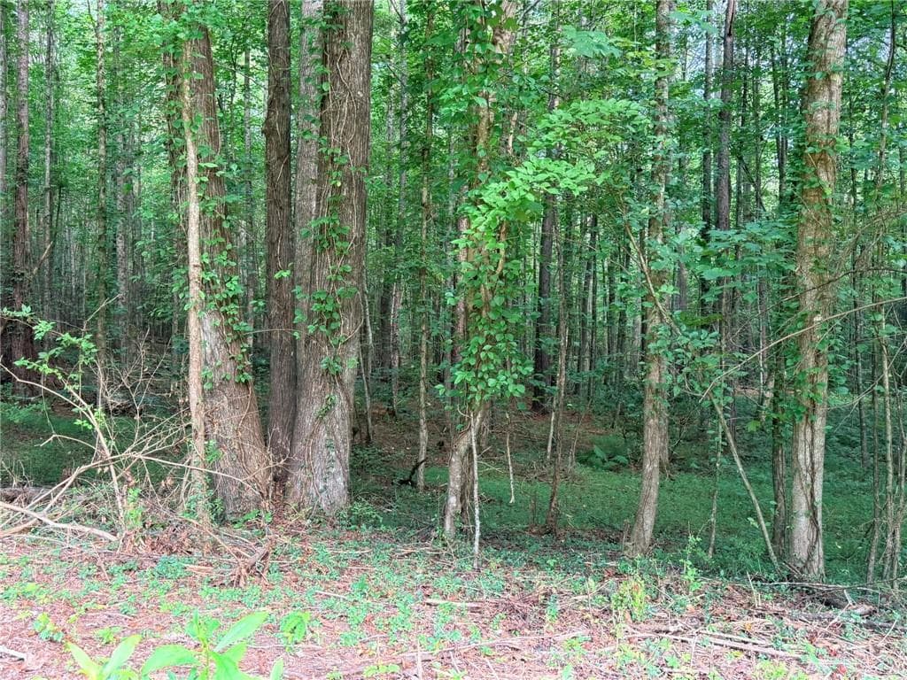 single family residence for sale at Lot 26 Skidder Way, Jasper, GA 30143 — photo 7