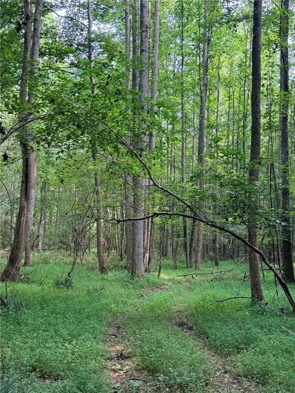 single family residence for sale at Lot 26 Skidder Way, Jasper, GA 30143 — photo 9