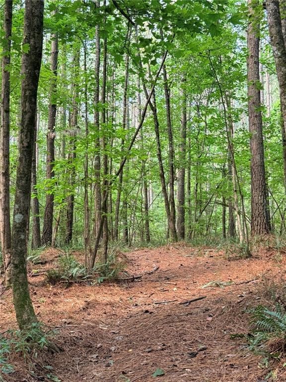 single family residence for sale at Lot 19 Henderson Mountain Road, Jasper, GA 30143 — photo 4