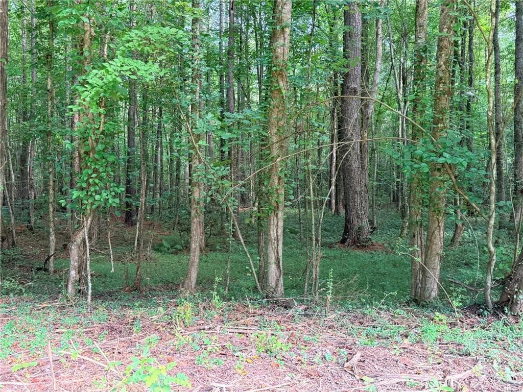 single family residence for sale at Lot 19 Henderson Mountain Road, Jasper, GA 30143 — photo 9