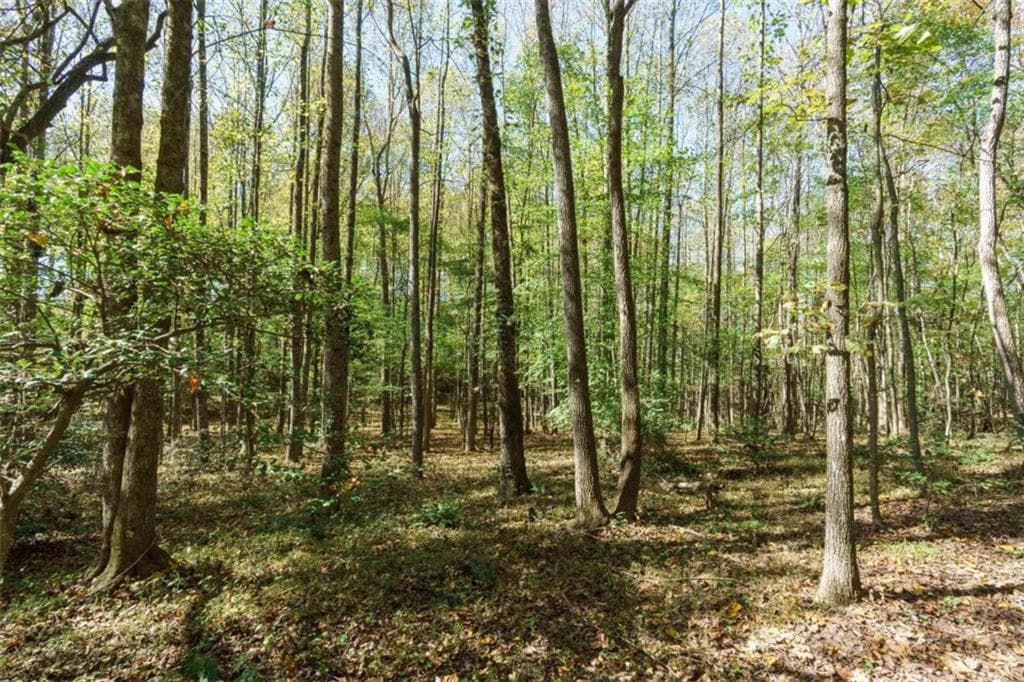 single family residence for sale at 140 Highpoint Ridge Court, Ellijay, GA 30540 — photo 2
