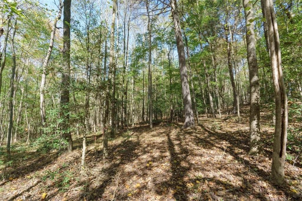 single family residence for sale at 140 Highpoint Ridge Court, Ellijay, GA 30540 — photo 3