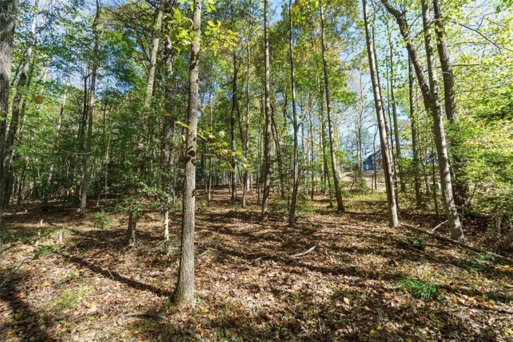 single family residence for sale at 140 Highpoint Ridge Court, Ellijay, GA 30540 — photo 4