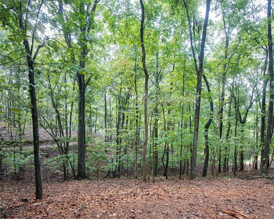 single family residence for sale at 480 Pin Hook Road, Ranger, GA 30734 — photo 3
