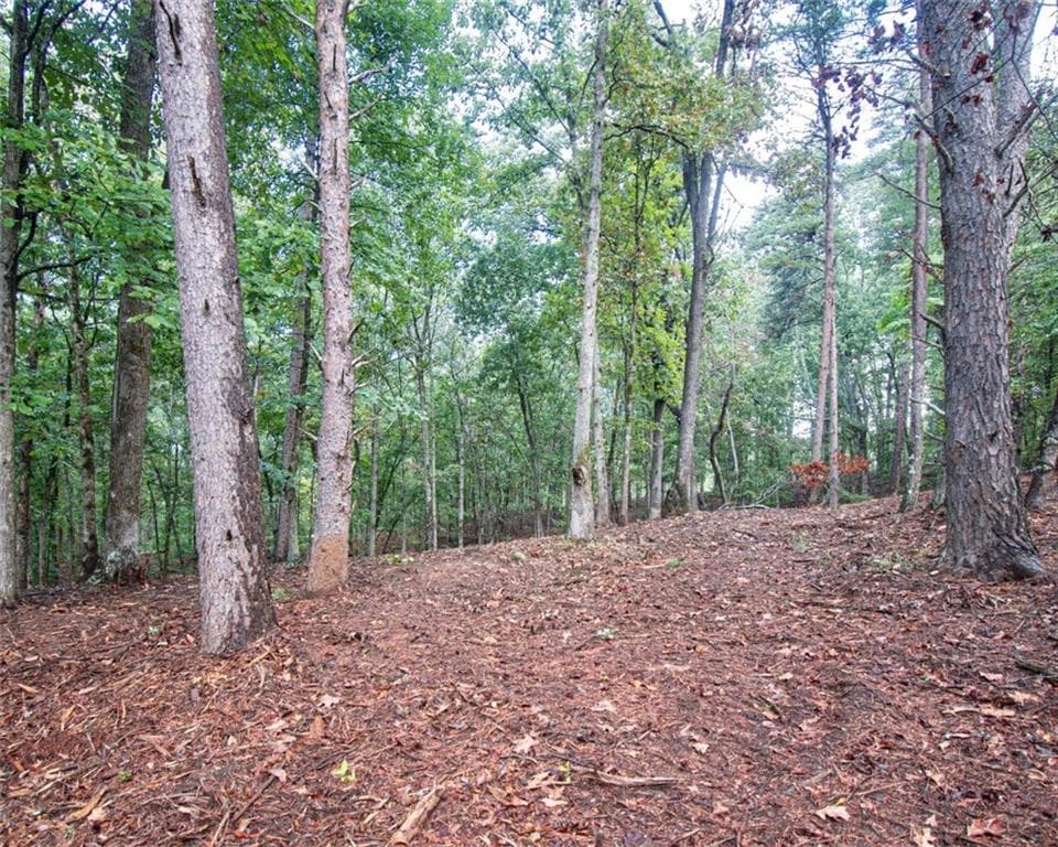 single family residence for sale at 480 Pin Hook Road, Ranger, GA 30734 — photo 4
