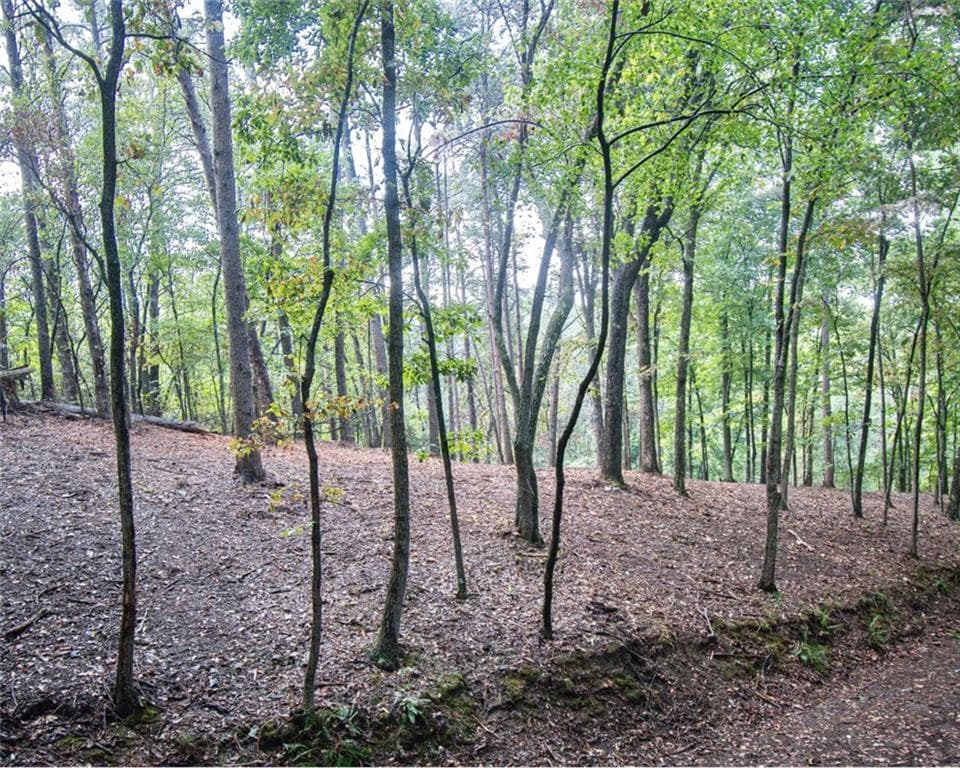 single family residence for sale at 480 Pin Hook Road, Ranger, GA 30734 — photo 5