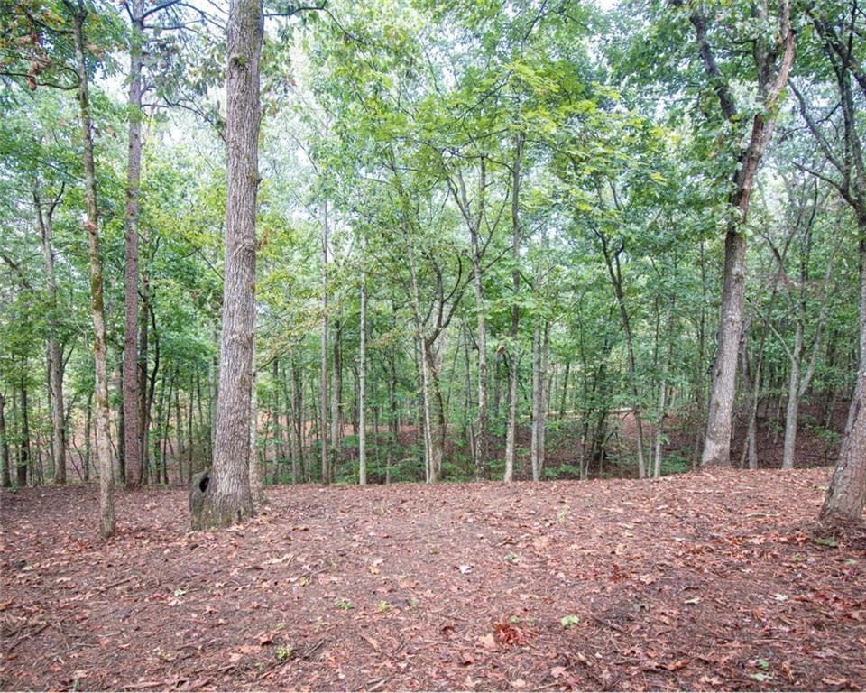 single family residence for sale at 480 Pin Hook Road, Ranger, GA 30734 — photo 6