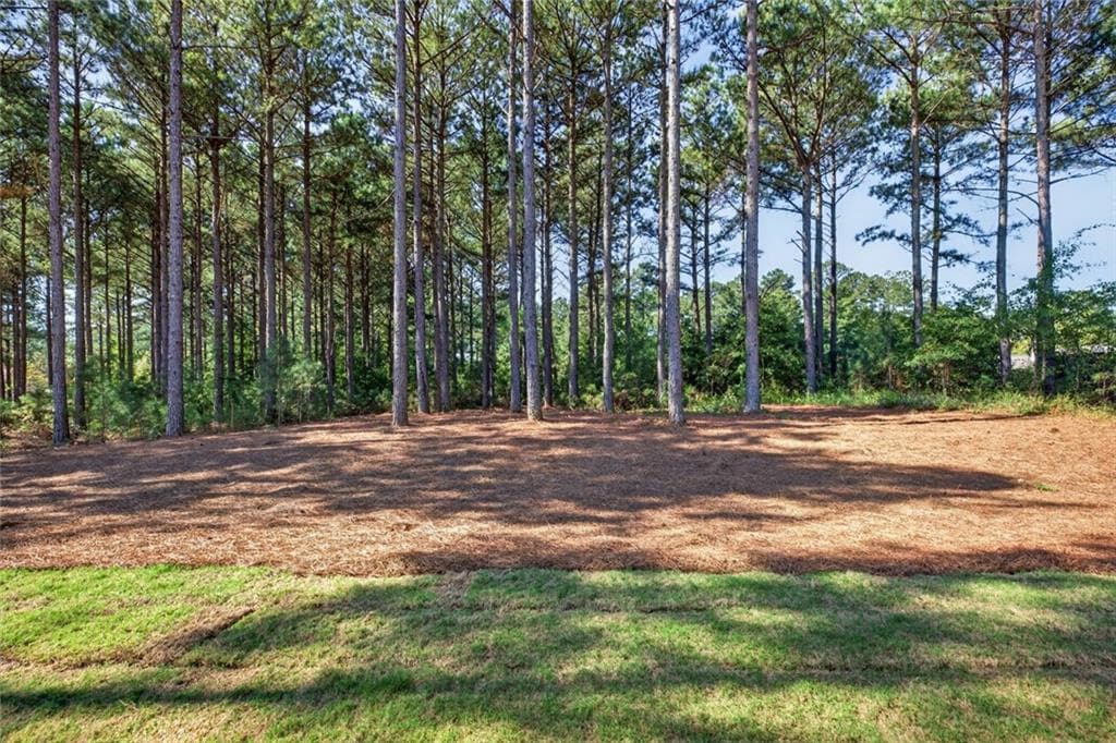 3 bedroom, 3 bathroom, 1,373 sq ft single family residence for sale at 266 Old Yorkville Road, Dallas, GA 30157 — photo 7