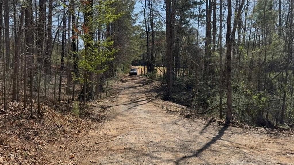 unimproved land for sale at 3797 Dallas Acworth Highway, Acworth, GA 30101 — photo 2