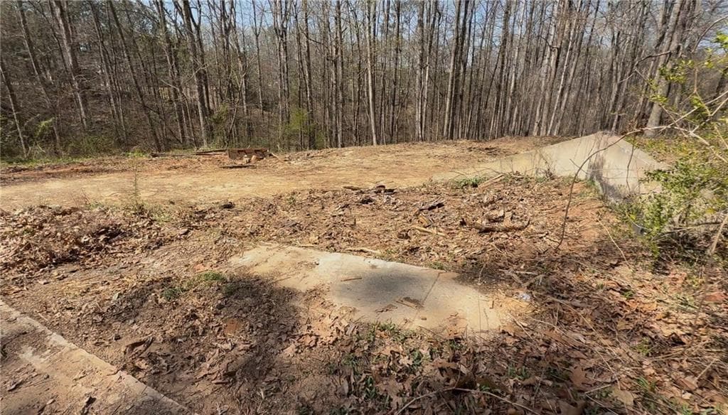 unimproved land for sale at 3797 Dallas Acworth Highway, Acworth, GA 30101 — photo 6