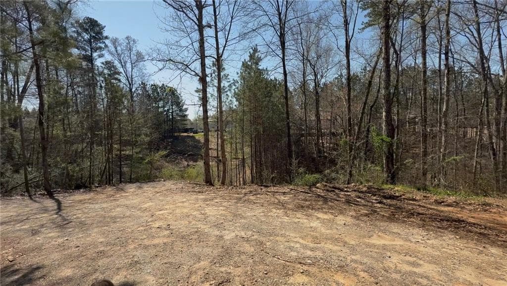 unimproved land for sale at 3797 Dallas Acworth Highway, Acworth, GA 30101 — photo 8