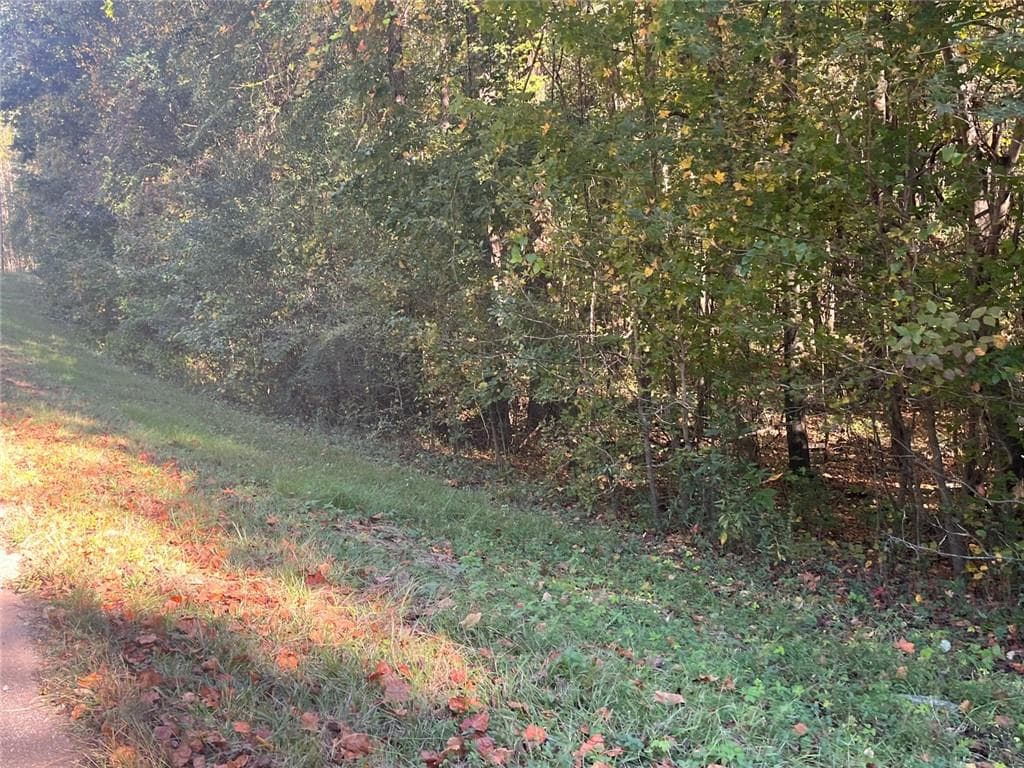 single family residence for sale at 0 Jarrett Lane, Gillsville, GA 30543 — photo 3