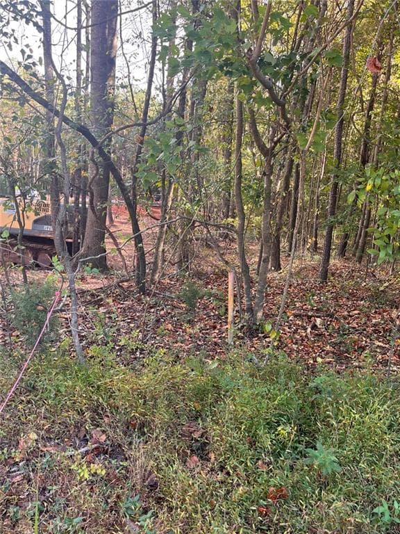 single family residence for sale at 0 Jarrett Lane, Gillsville, GA 30543 — photo 5
