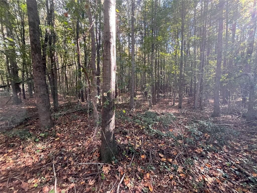 single family residence for sale at 0 Jarrett Lane, Gillsville, GA 30543 — photo 6