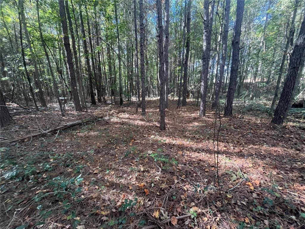 single family residence for sale at 0 Jarrett Lane, Gillsville, GA 30543 — photo 7