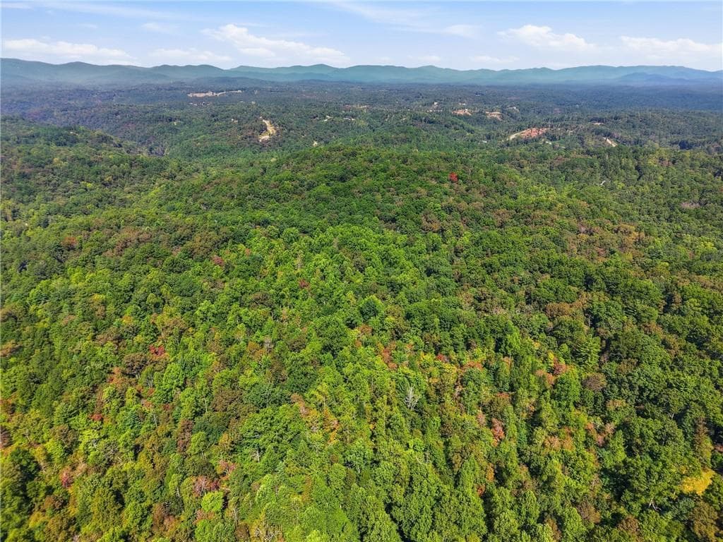 unimproved land for sale at 0 B-1 Fern Gully Way, Ellijay, GA 30540 — photo 1 of 6