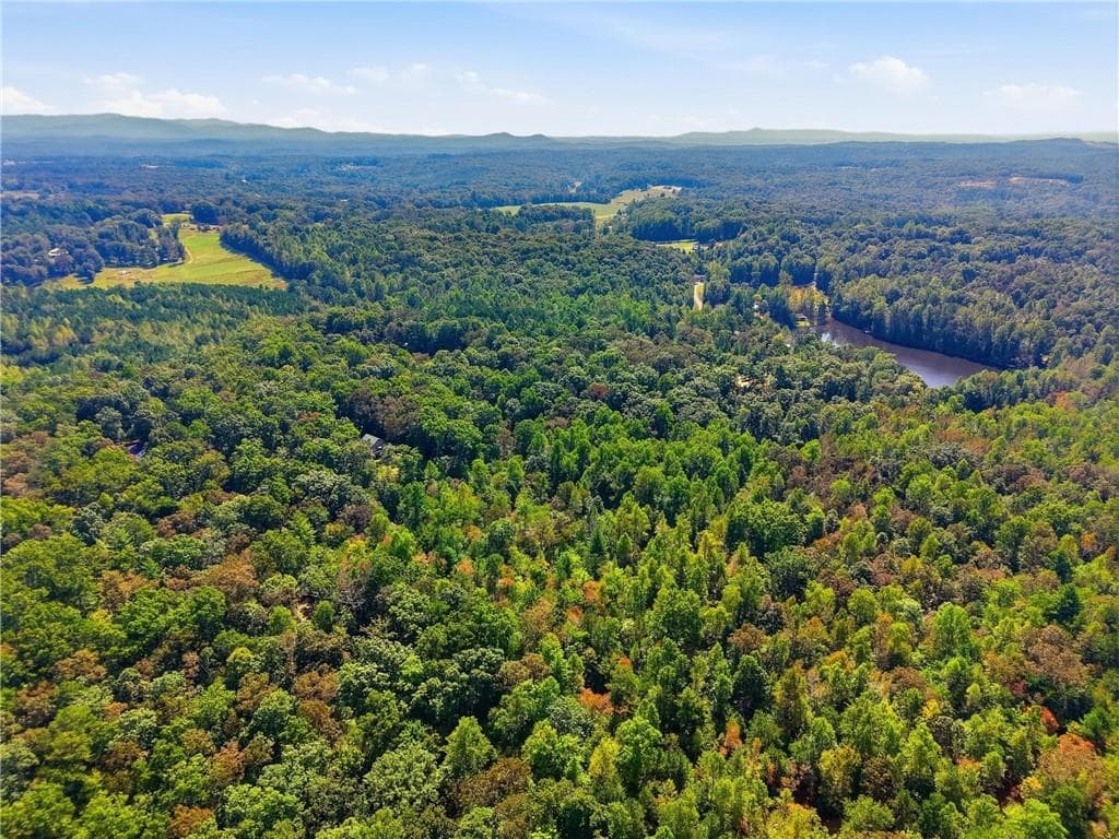 unimproved land for sale at 0 B-1 Fern Gully Way, Ellijay, GA 30540 — photo 2