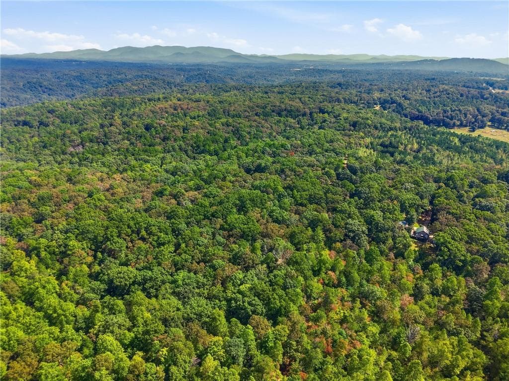 unimproved land for sale at 0 B-1 Fern Gully Way, Ellijay, GA 30540 — photo 3