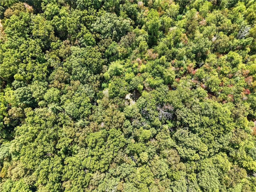 unimproved land for sale at 0 B-1 Fern Gully Way, Ellijay, GA 30540 — photo 5