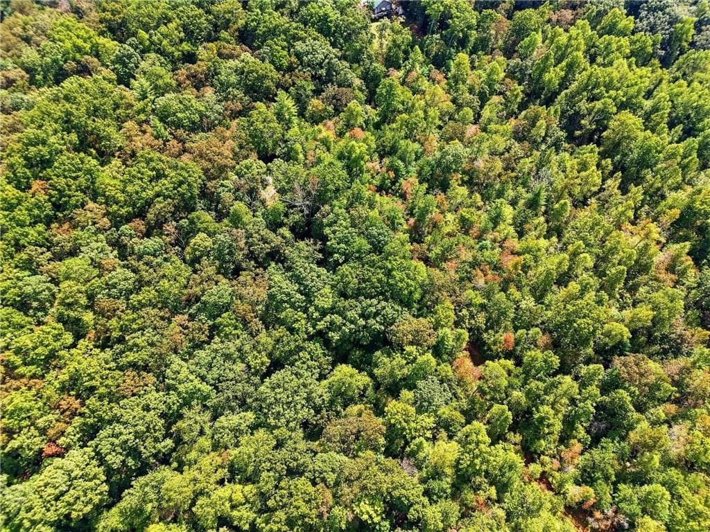 unimproved land for sale at 0 B-1 Fern Gully Way, Ellijay, GA 30540 — photo 6