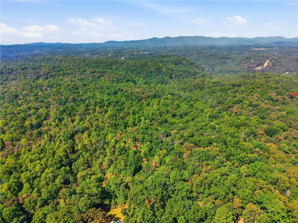 unimproved land for sale at 0 A-2 Fern Gully Way, Ellijay, GA 30540 — photo 3