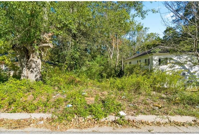 unimproved land for sale at 2043 Detroit Avenue, Atlanta, GA 30314 — photo 5
