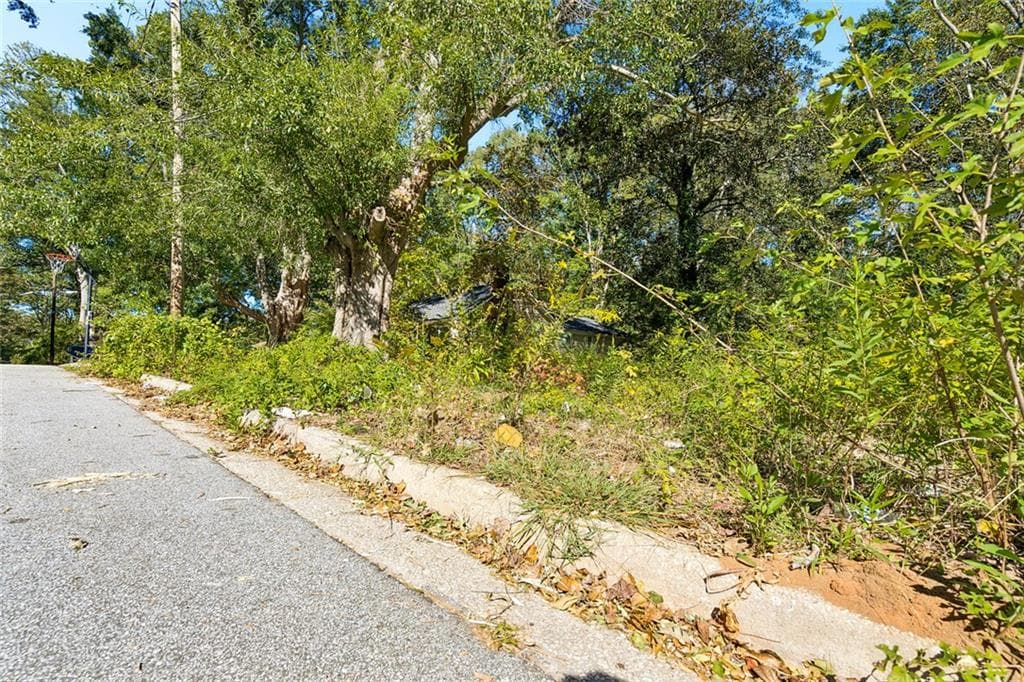unimproved land for sale at 2043 Detroit Avenue, Atlanta, GA 30314 — photo 6