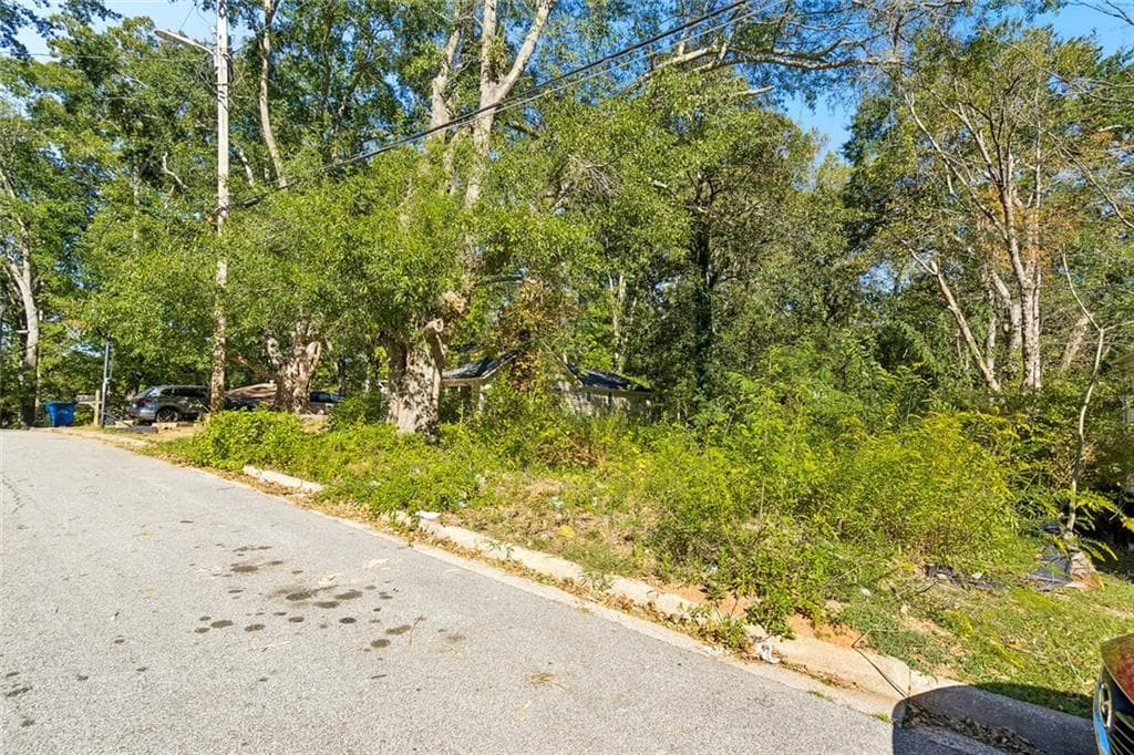 unimproved land for sale at 2043 Detroit Avenue, Atlanta, GA 30314 — photo 7