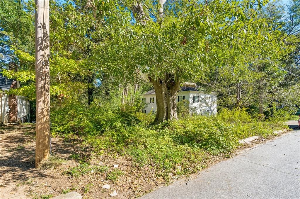 unimproved land for sale at 2043 Detroit Avenue, Atlanta, GA 30314 — photo 9