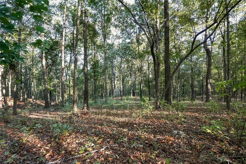 single family residence for sale at 723 Chattin Drive, Canton, GA 30115 — photo 1 of 7