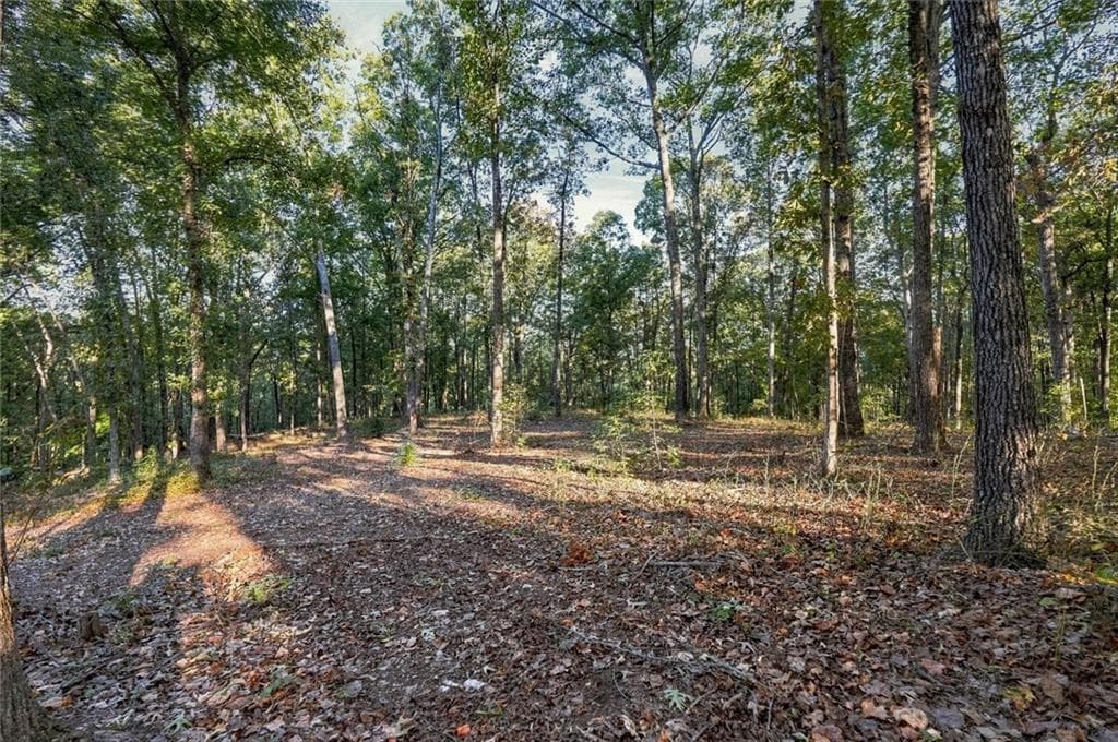 single family residence for sale at 723 Chattin Drive, Canton, GA 30115 — photo 3
