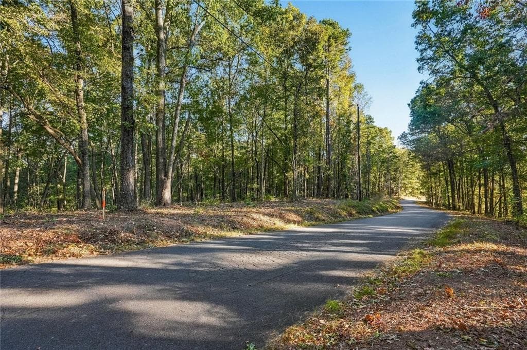 single family residence for sale at 751 Chattin Drive, Canton, GA 30115 — photo 3