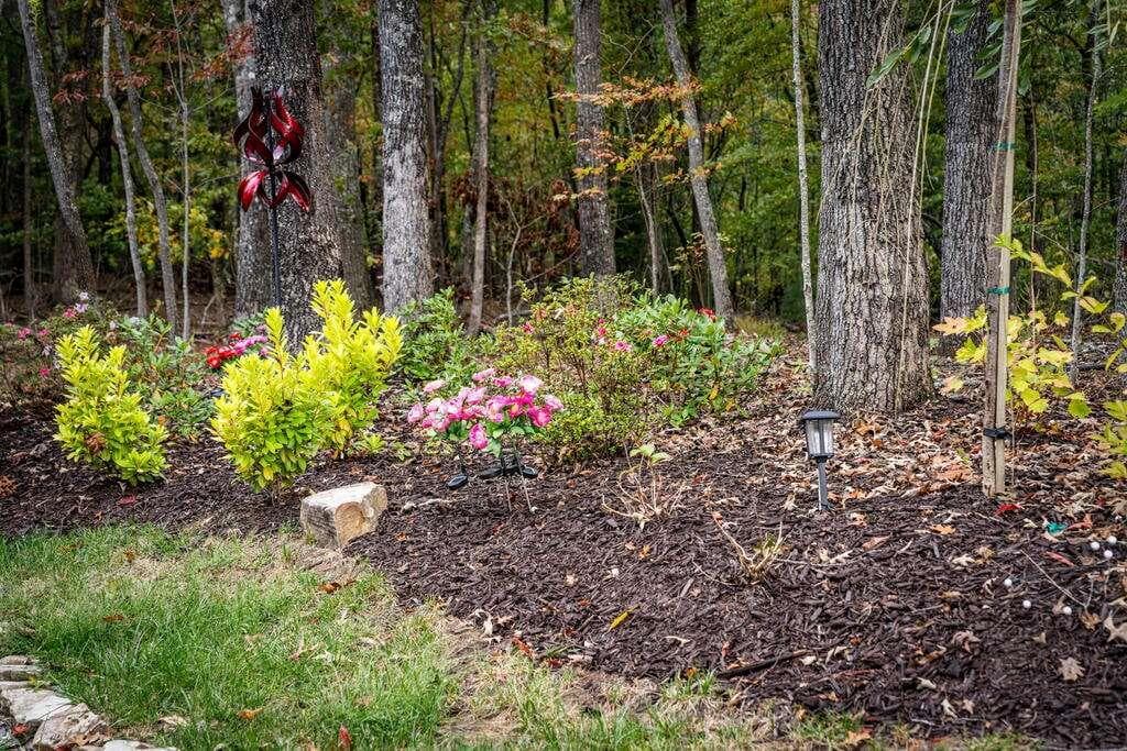 2 bedroom, 3 bathroom, 1,288 sq ft single family residence for sale at 194 Cox Road, Blue Ridge, GA 30513 — photo 6